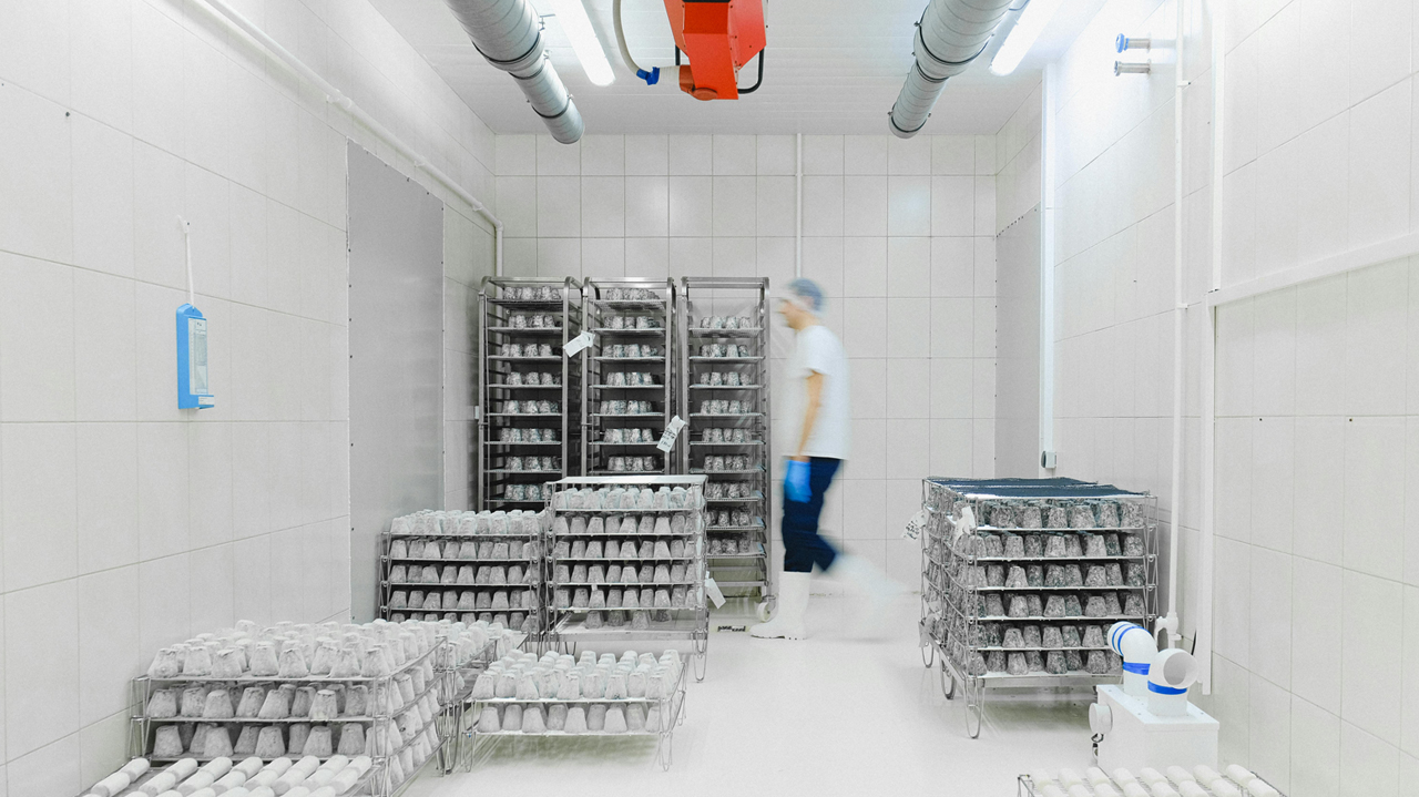 Why Indianapolis is Becoming a Hub for Cold Storage Facilities
