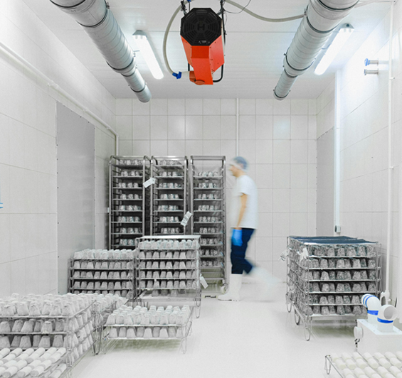 Why Indianapolis is Becoming a Hub for Cold Storage Facilities